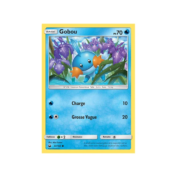 Carte Pokémon Gobou 33/168 Commune Tempête Céleste