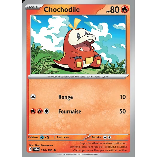 Chochodile 036/198
