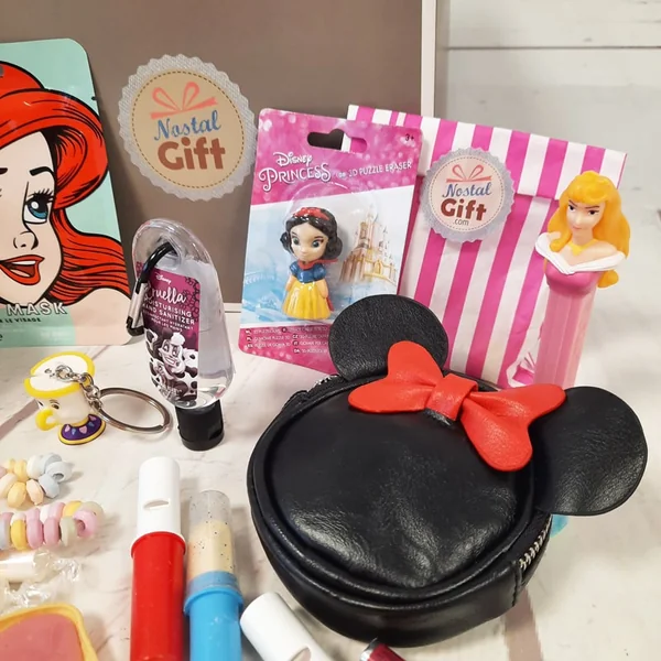 Coffret Cadeau "Fan de Disney"