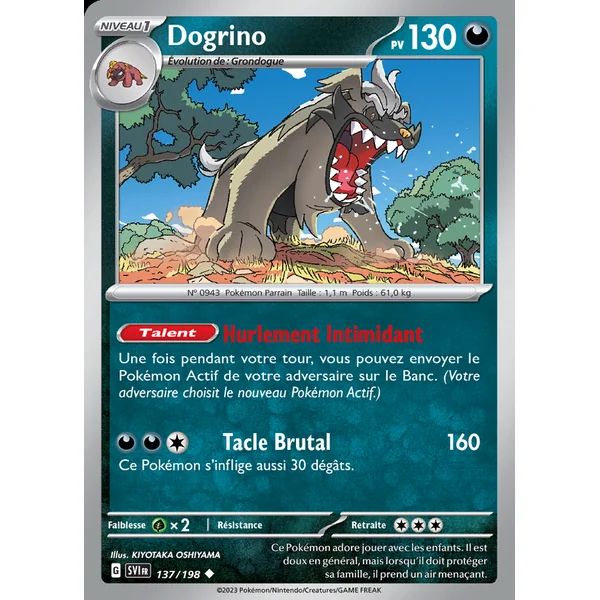 Dogrino 137/198