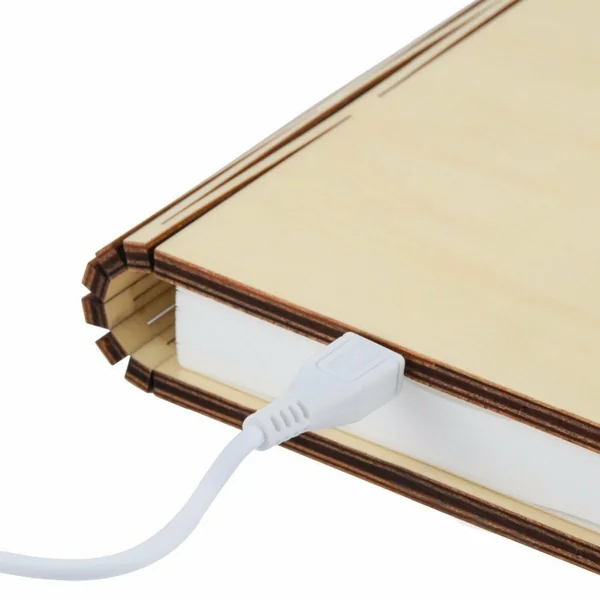 Lampe livre en bois naturel