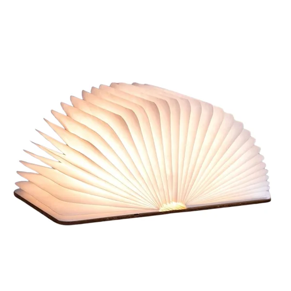 Lampe livre en Cuir