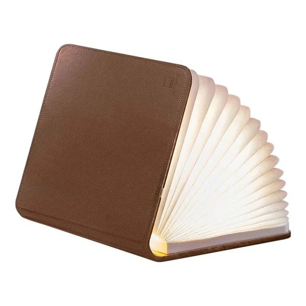 Lampe livre en Cuir