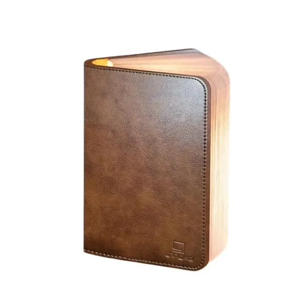 Lampe livre en Cuir