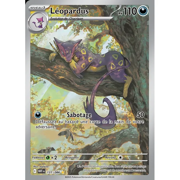Léopardus 137/086