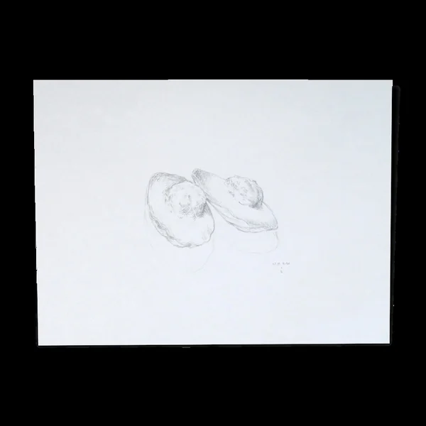 Madeleines, dessin original
