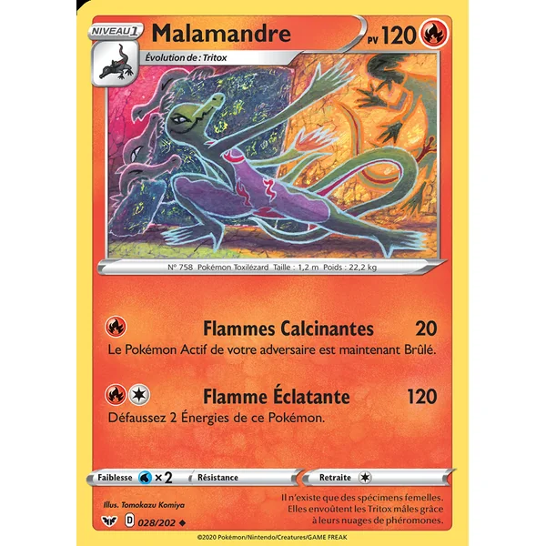 Malamandre 028/202