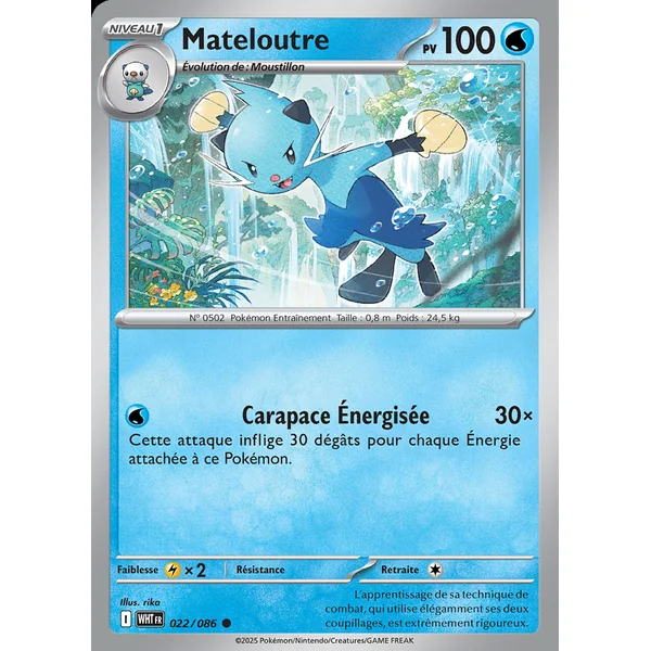 Mateloutre 022/086