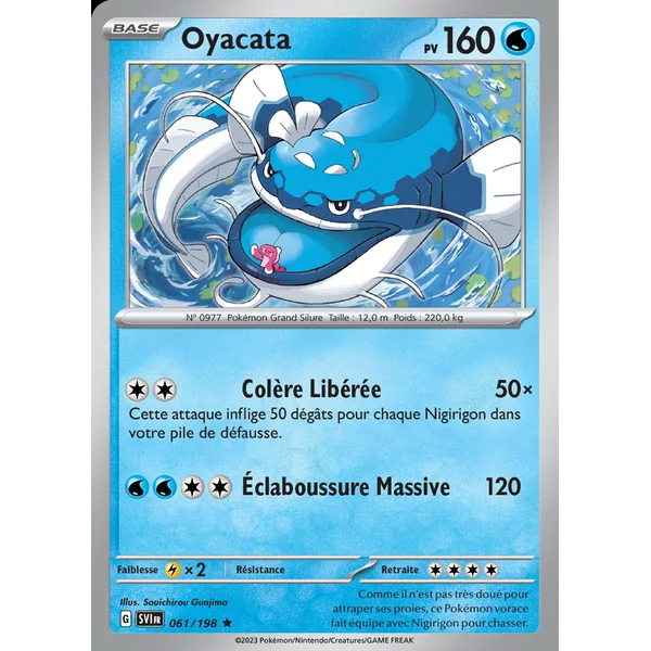 Oyacata 061/198
