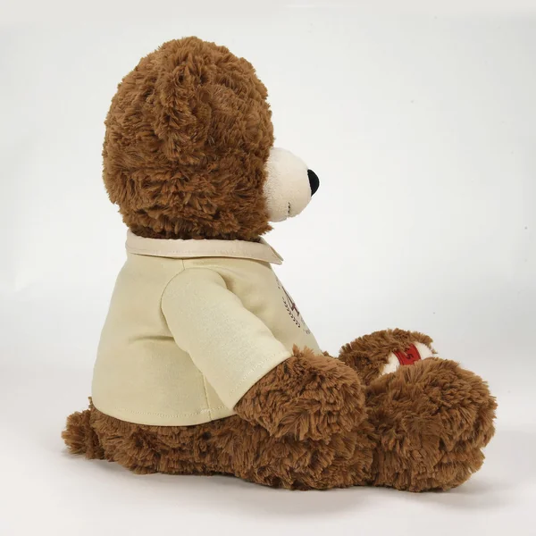 Peluche Ours 45eme Anniversaire - Boyds Bears