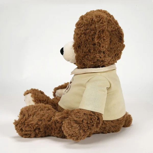 Peluche Ours 45eme Anniversaire - Boyds Bears