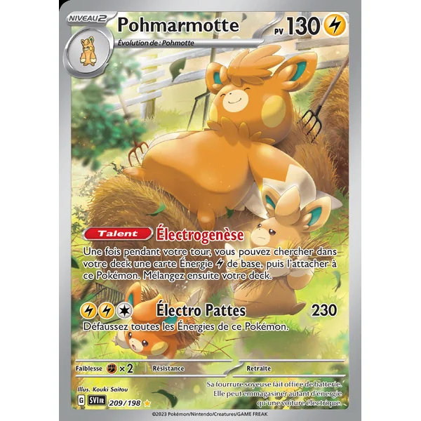 Pohmarmotte 209/198