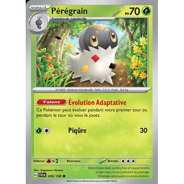 Pérégrain 009/198