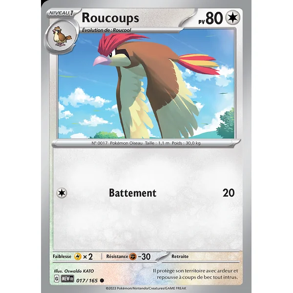 Roucoups 017/165