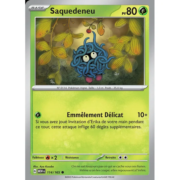 Saquedeneu 114/165