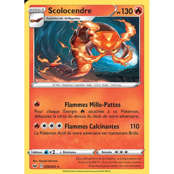 Scolocendre 039/202